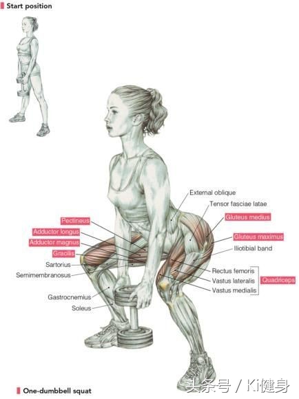 徒手深蹲50个深蹲相当于跑多少米,深蹲的标准姿势是怎样的