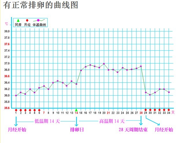 测试排卵最准确的方法,测试排卵的正确方法