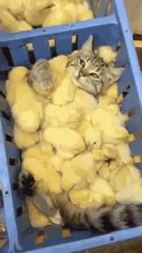 梦想还是要有的没准就实现了呢,梦想还是要有的虽然它很遥远