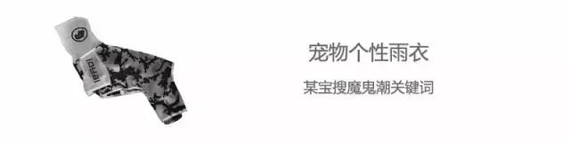 家有毛孩子｜老司机说不买齐这些甭养狗