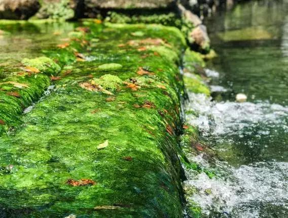 濑户——喜欢你那一抹蓝色光芒（上）