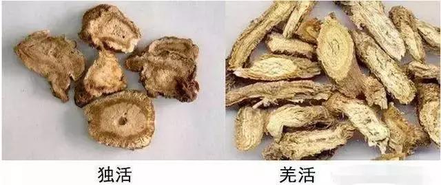 对风湿骨病有效的中药,各种风湿骨病的克星