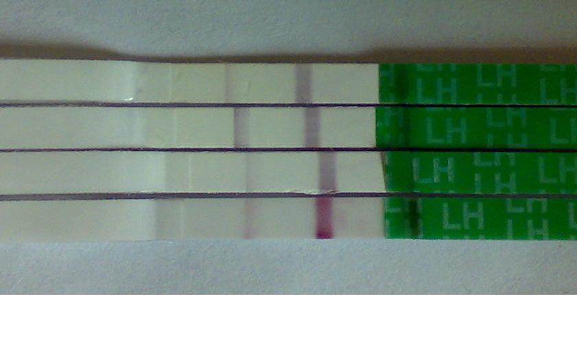 测试排卵最准确的方法,测试排卵的正确方法