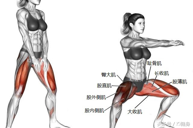 徒手深蹲50个深蹲相当于跑多少米,深蹲的标准姿势是怎样的