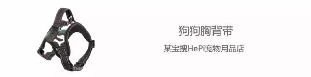 家有毛孩子｜老司机说不买齐这些甭养狗