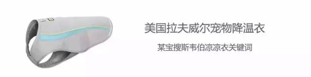 家有毛孩子｜老司机说不买齐这些甭养狗