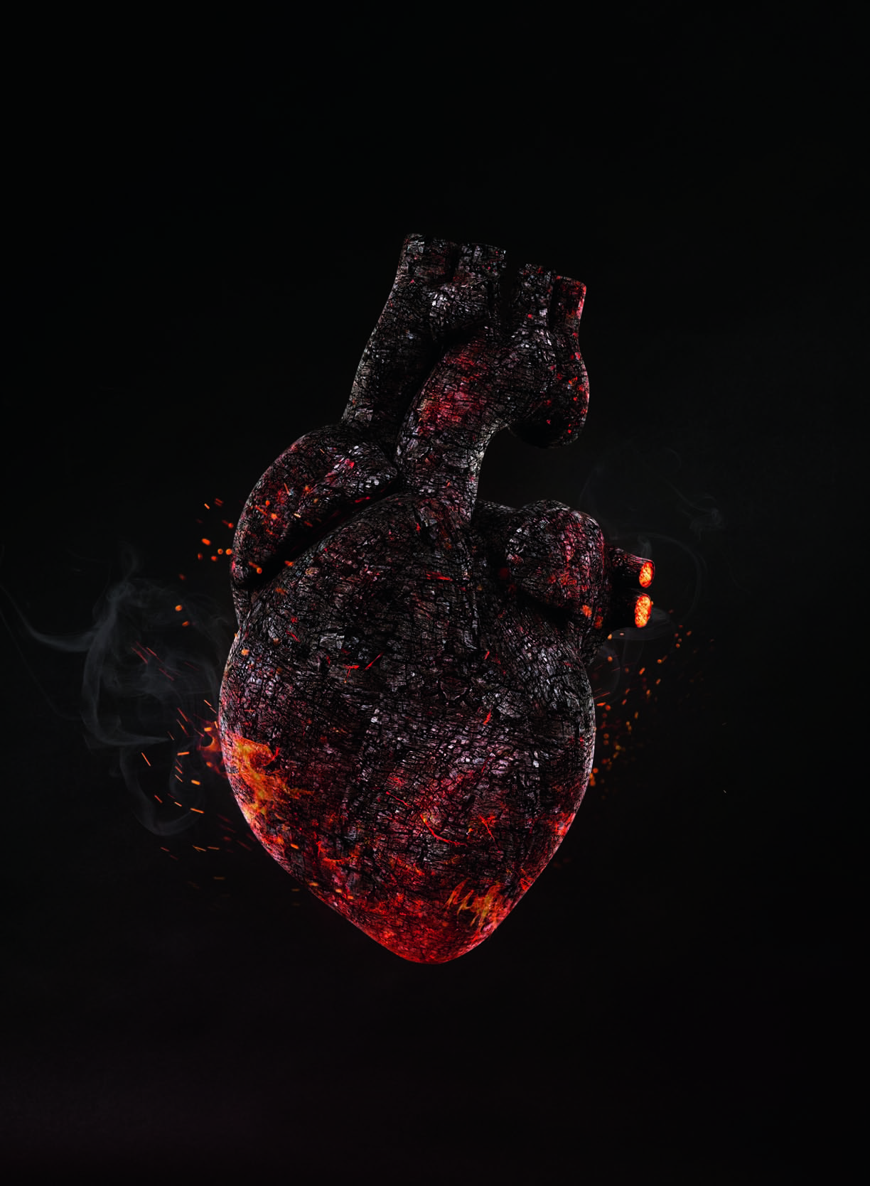 心脏的泵血功能及调节,心脏泵血功能是什么