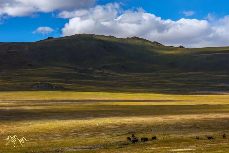 在最美的时光遇见你散文,在最美的时光遇见最美的你