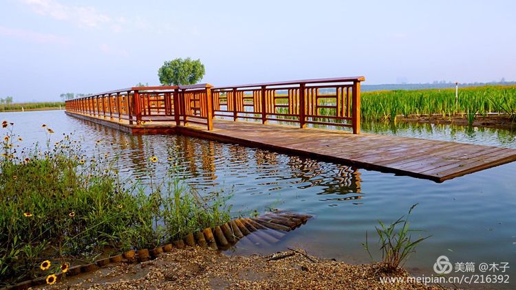 一花一叶总关情，一辆单车游古城，美哉正定！