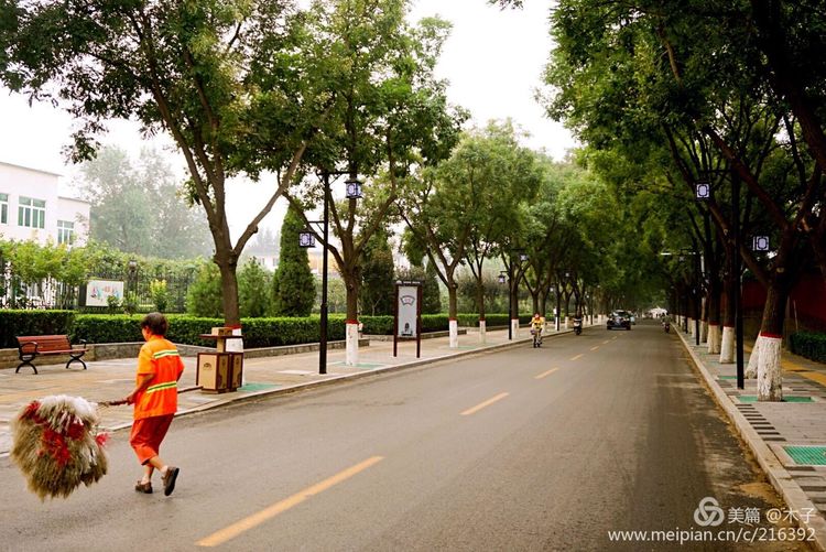 一花一叶总关情，一辆单车游古城，美哉正定！