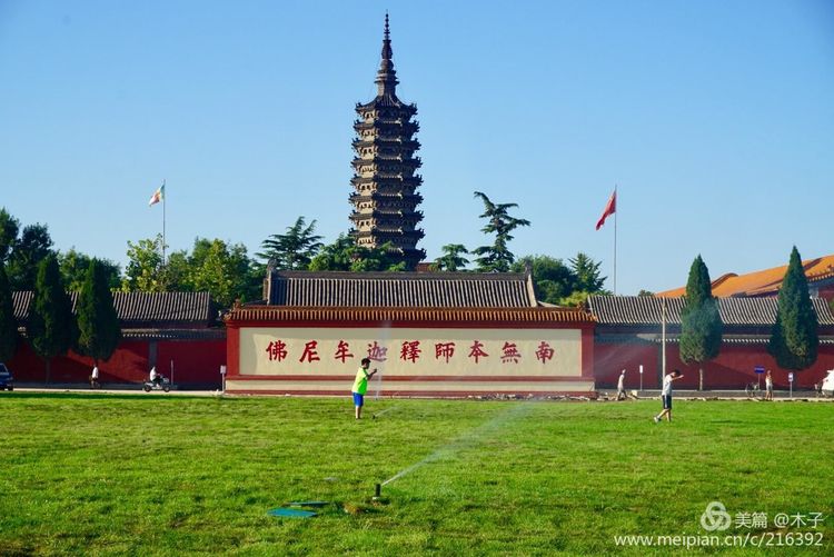 一花一叶总关情，一辆单车游古城，美哉正定！