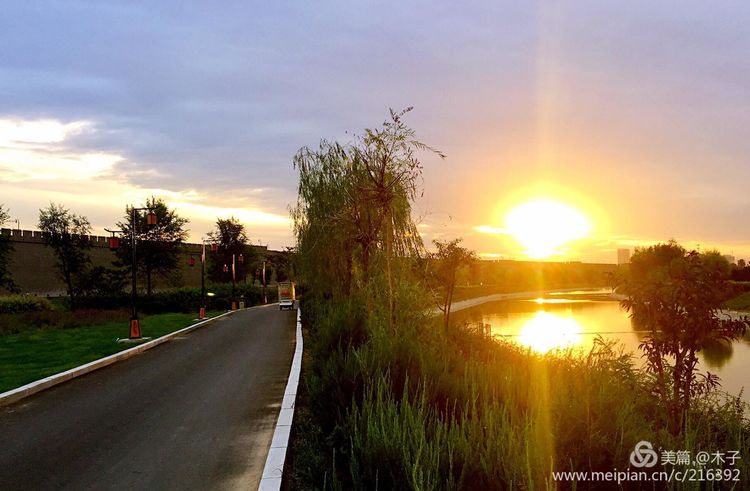 一花一叶总关情，一辆单车游古城，美哉正定！