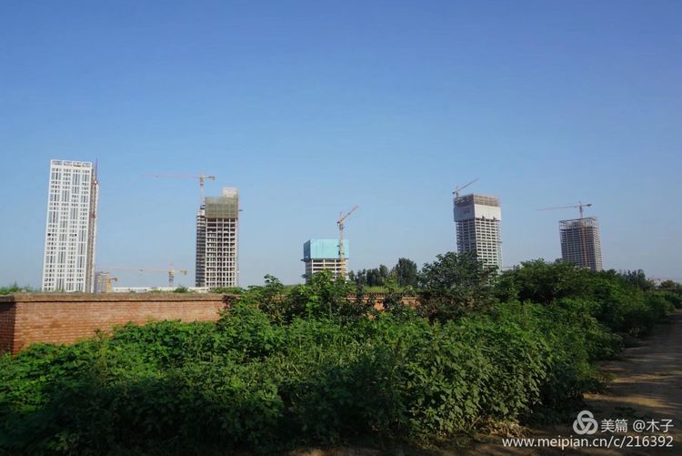 一花一叶总关情，一辆单车游古城，美哉正定！