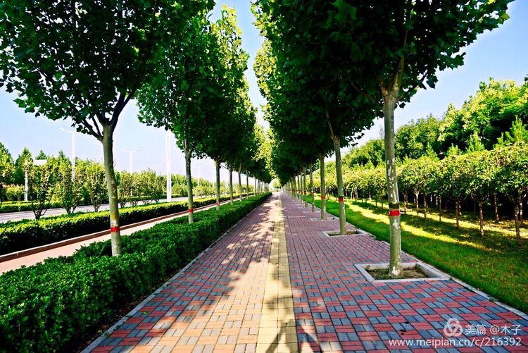 一花一叶总关情，一辆单车游古城，美哉正定！