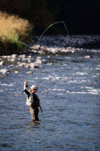 怎么钓到断鱼,怎么才能钓到半截鱼