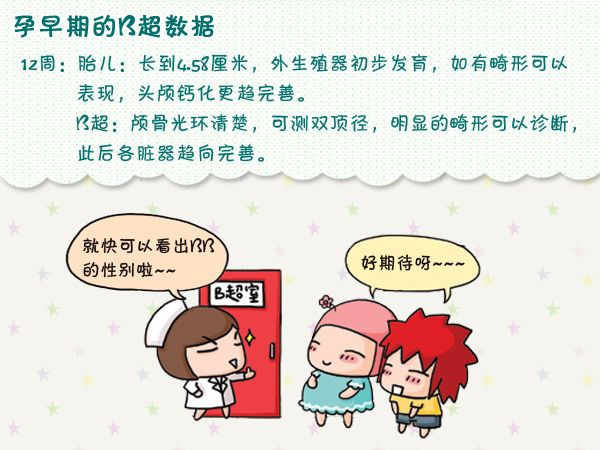 孕早期B超都能检查出什么