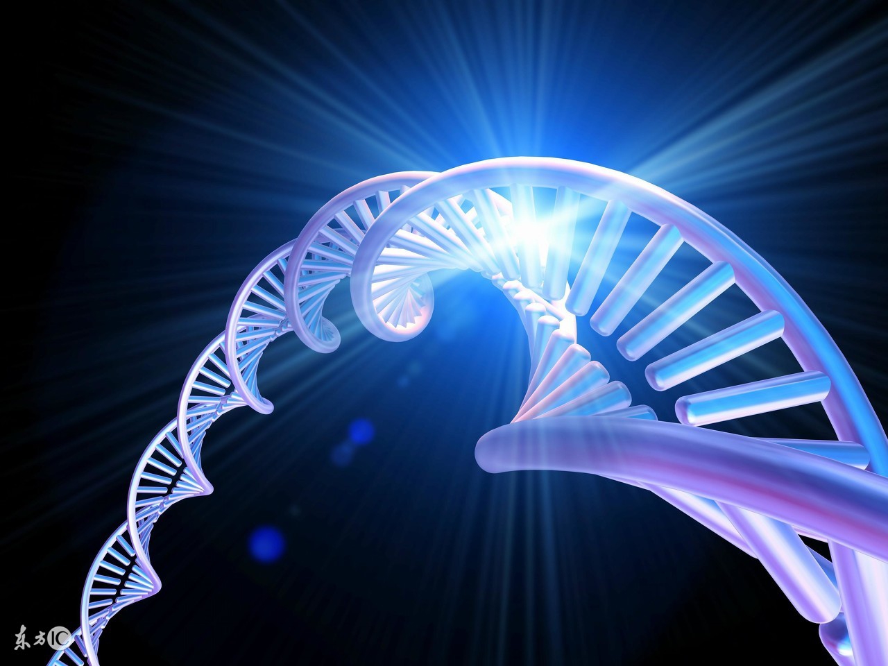 高度近视基因检测值0.003,高度近视及易感基因分析白皮书