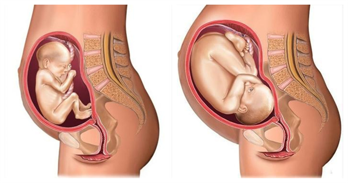 宝宝在妈妈肚子里的成长过程文字,宝宝在妈妈肚子里成长过程视频