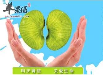 肾功能衰竭的饮食调理,肾衰竭病人的饮食控制经历