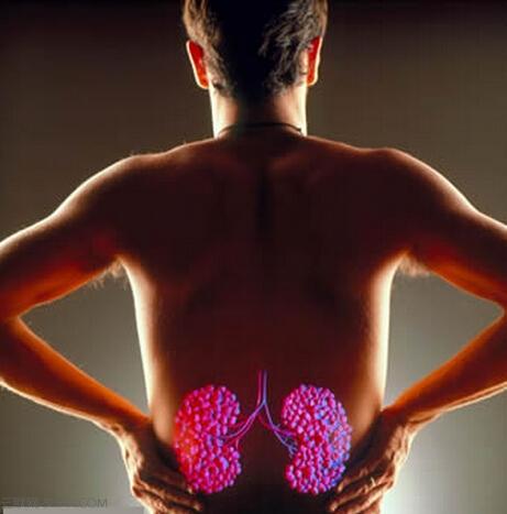 憋不住小便是什么症状,小便憋不住是怎么回事啊