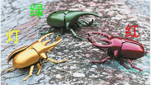 哎哟不错哦！杭州当下展览大集合，卖萌惊艳统统有！