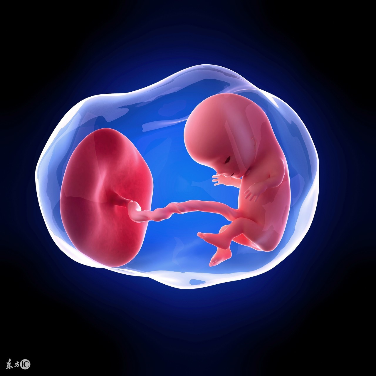 做完宫颈环扎手术老是放屁正常吗,孕期24周宫颈环扎亲身经历