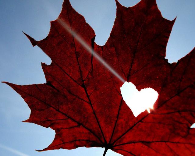 情人节还是擒人节爆笑来袭谁是谁老公全是临时工