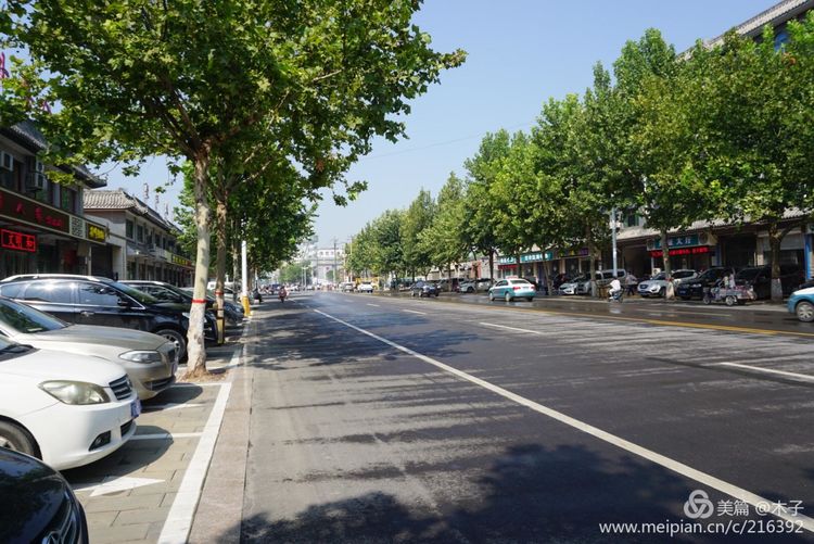 一花一叶总关情，一辆单车游古城，美哉正定！