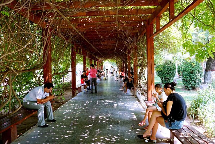 一花一叶总关情，一辆单车游古城，美哉正定！