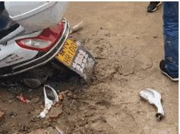 搞笑gif动图吸引人,不听话搞笑gif动图