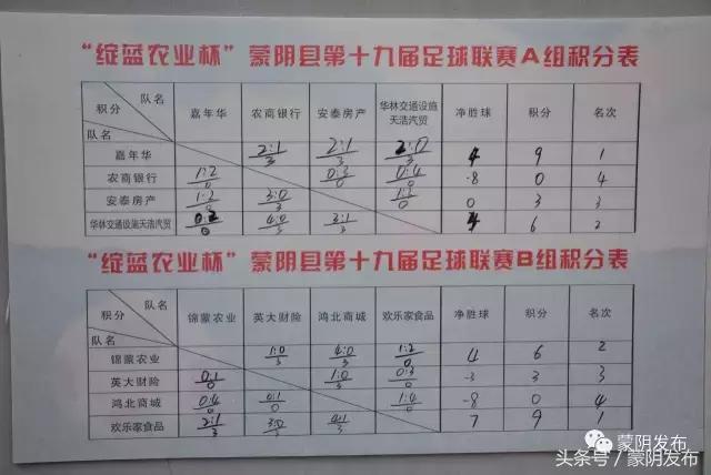 蒙阴县第二十届足球联赛告捷闭幕,第24届蒙阴足球联赛名单