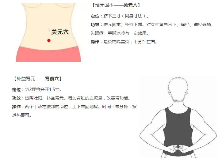 关于补肾养生知识,补肾小知识