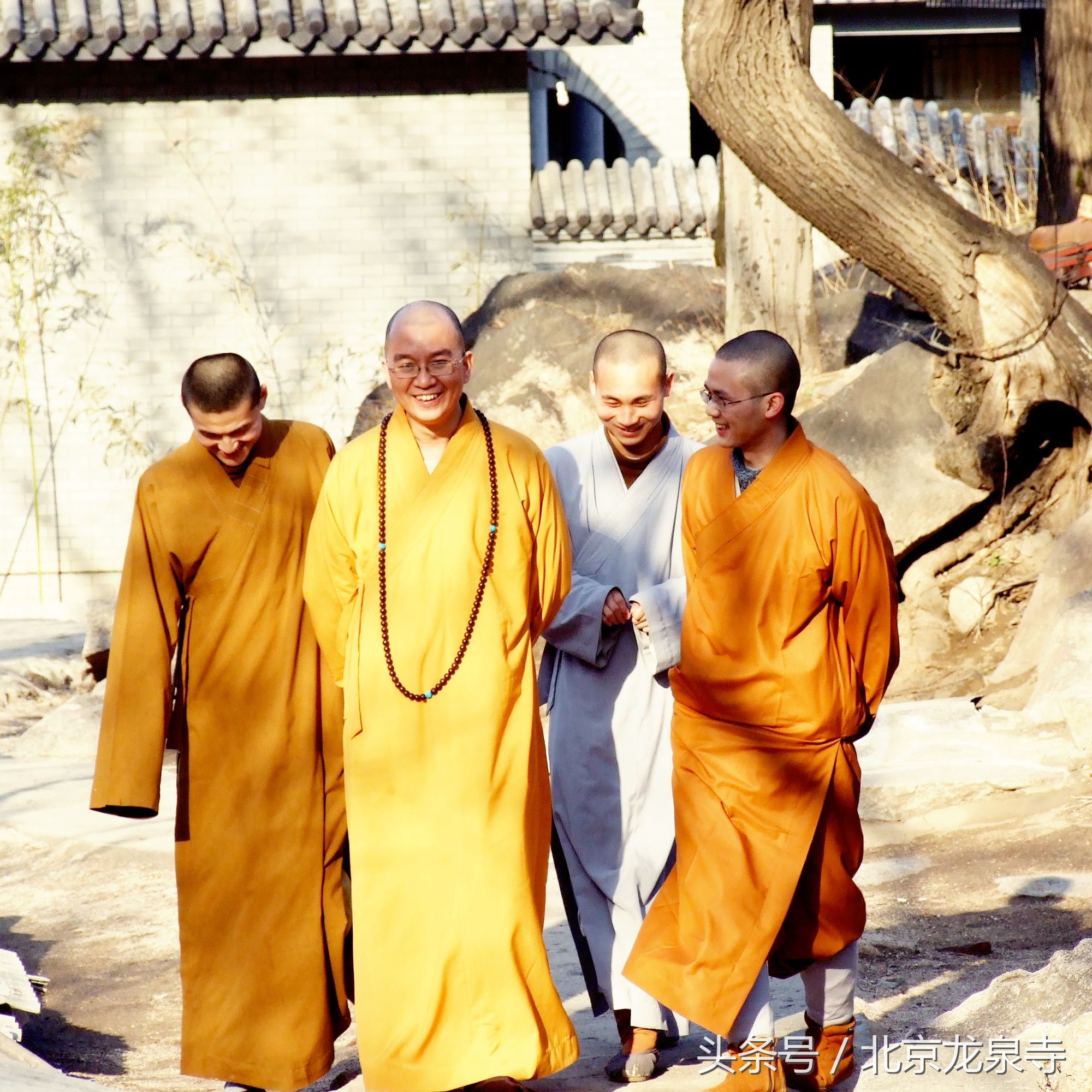 佛陀最笨的弟子,佛陀是怎么悟道成佛