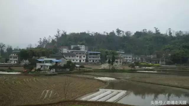 梁中与红中曾合校办学多年~两校原是亲生血缘关系