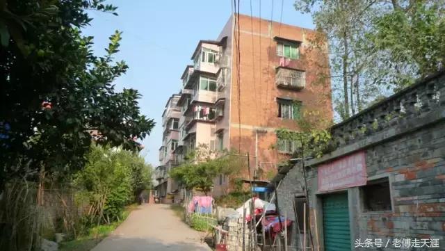 梁中与红中曾合校办学多年~两校原是亲生血缘关系