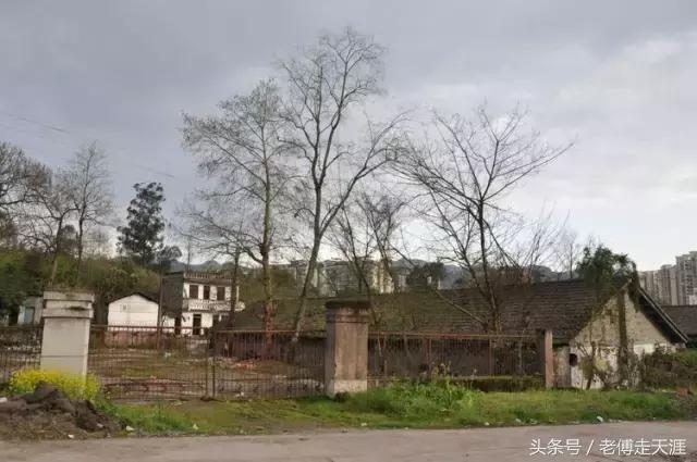 梁中与红中曾合校办学多年~两校原是亲生血缘关系