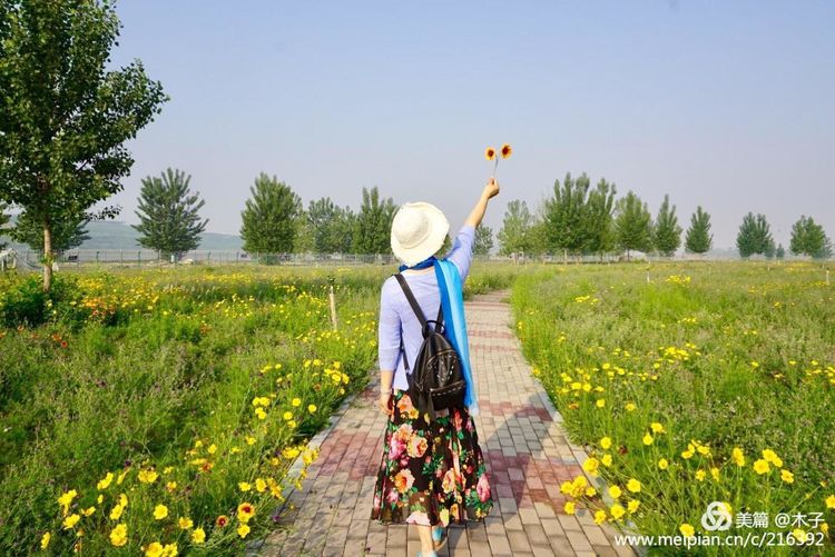 一花一叶总关情，一辆单车游古城，美哉正定！