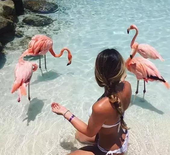 去旅游拍的风景照怎么发朋友圈,怎么给朋友圈的旅游照点评