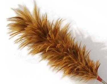 这些我们玩剩下的东西现在是世界潮流！而且还很贵！