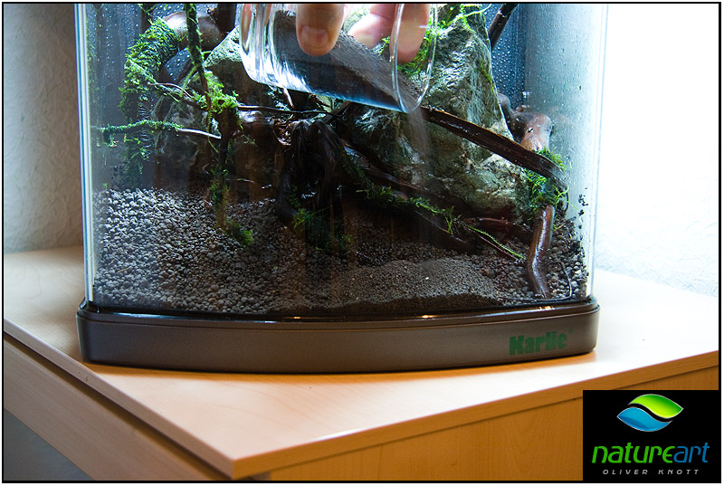 ada水草1.5米缸造景教程,oliverknott是什么