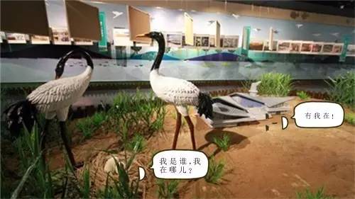 哎哟不错哦！杭州当下展览大集合，卖萌惊艳统统有！