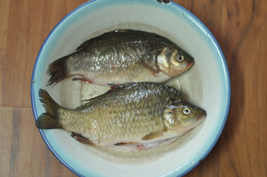 咳嗽中医养生知识大全,食疗咳嗽有痰润肺的方法