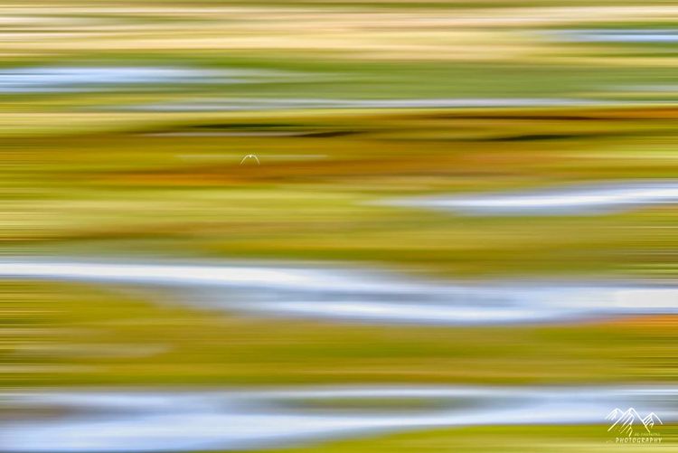 在最美的时光遇见你散文,在最美的时光遇见最美的你