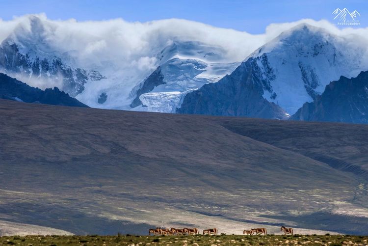 在最美的时光遇见你散文,在最美的时光遇见最美的你
