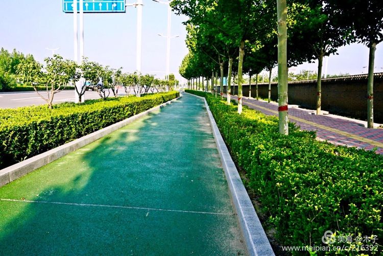 一花一叶总关情，一辆单车游古城，美哉正定！