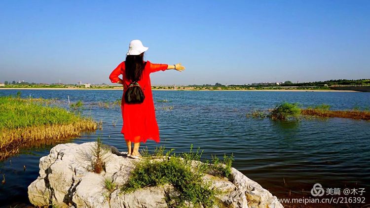 一花一叶总关情，一辆单车游古城，美哉正定！