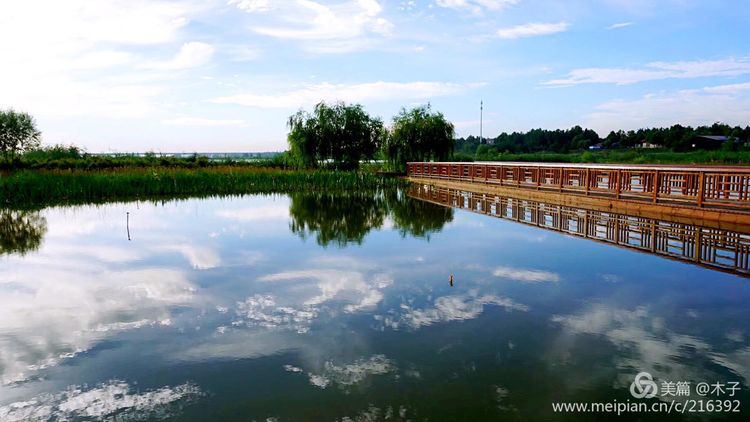 一花一叶总关情，一辆单车游古城，美哉正定！