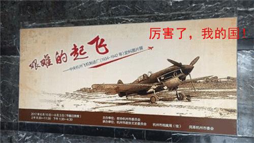 哎哟不错哦！杭州当下展览大集合，卖萌惊艳统统有！