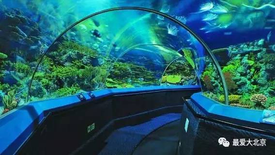 9月河北人去上海半价！上海64家景点全部半价！连迪士尼都降了