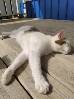 诺基亚6手机外观怎么样 (诺基亚6二代评测)